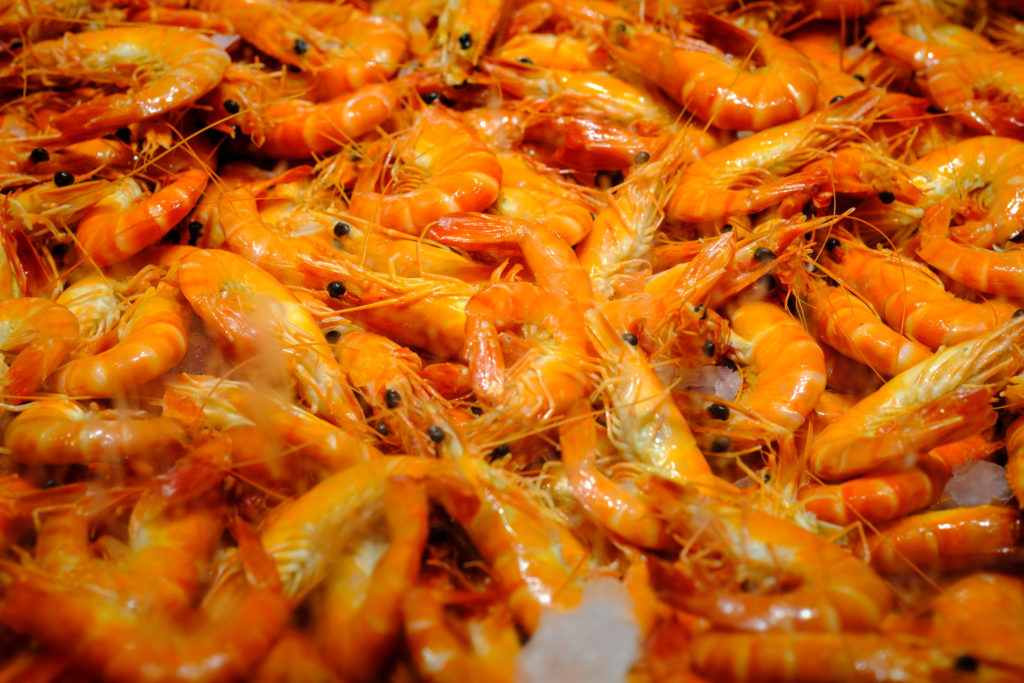 Cooked Australian prawns on ice. The industry has been heavily affected by prawn white spot disease.